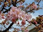 DSCN4133.jpg