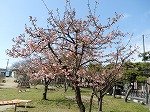 DSCN4217.jpg