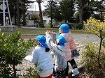 DSCN4141.jpg