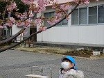 DSCN4182.jpg