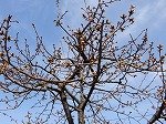 DSCN2215.jpg