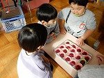 DSCN2558.jpg