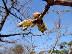 DSCN2843.jpg
