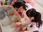 DSCN3053.jpg