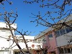 DSCN3068.jpg