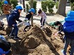DSCN3109.jpg