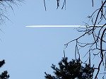DSCN3122.jpg