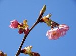 DSCN3163.jpg