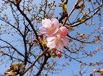 DSCN3485.jpg