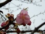 DSCN3638.jpg