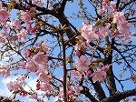 DSCN3750.jpg