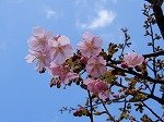 DSCN3758.jpg