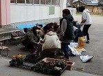 DSCN3779.jpg