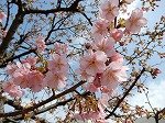 DSCN4129.jpg