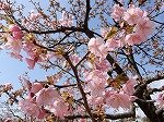 DSCN4208.jpg