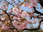 DSCN4218.jpg