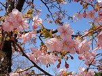 DSCN4820.jpg