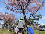 DSCN4934.jpg