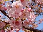 DSCN4945.jpg