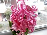 DSCN2594.jpg