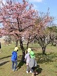 DSCN4917.jpg