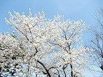DSCN5356.jpg