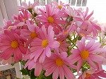 DSCN5948.jpg