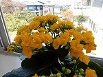 DSCN5947.jpg