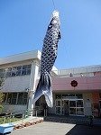 DSCN7244.jpg