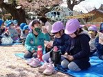 DSC00309.jpg
