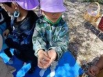 DSCN5523.jpg