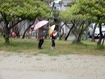 DSCN6049.jpg