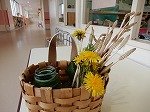 DSCN6069.jpg