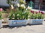 DSCN6184.jpg