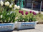 DSCN6187.jpg