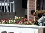 DSCN6235.jpg