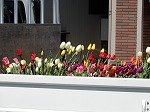 DSCN6238.jpg