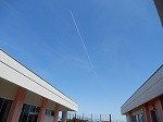 DSCN6286.jpg