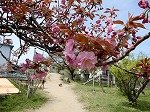 DSCN6324.jpg