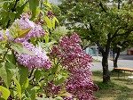 DSCN6329.jpg