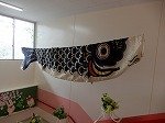 DSCN6464.jpg