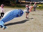 DSCN6533.jpg