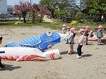 DSCN6580.jpg