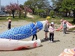 DSCN6581.jpg