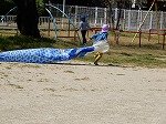 DSCN6849.jpg