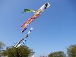 DSCN6853.jpg