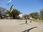 DSCN6855.jpg