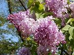DSCN6882.jpg