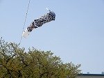 DSCN6519.jpg