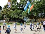 DSCN8546.jpg
